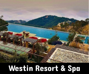 westin-resort-spa